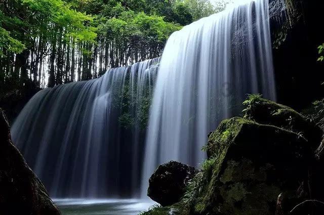 虫虫助手下载